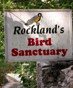 Rockland bird sanctuary birdwatching