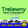 airport transfers to trelawny