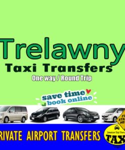 airport transfers to trelawny