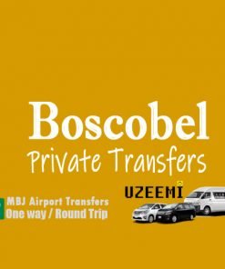 boscobel airport transfer
