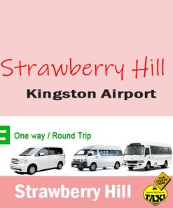 Kingston Airport to - from Strawberry Hill