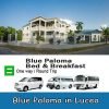 Blue Paloma Bed and Breakfast