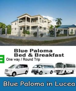 Blue Paloma Bed and Breakfast